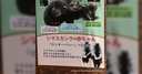 Web site image