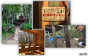 Web site image