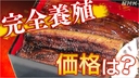 Web site image