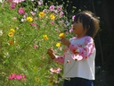 Web site image
