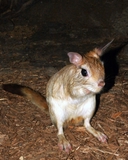 Web site image