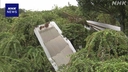 Web site image
