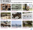 Web site image