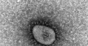 Web site image