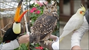 Web site image