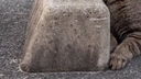 Web site image