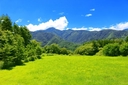 Web site image