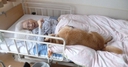 Web site image