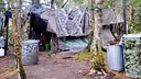 Web site image