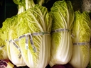 Web site image