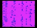 Web site image