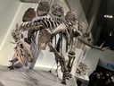 Web site image