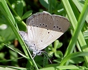 Web site image