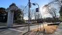 Web site image