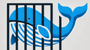 Web site image