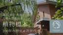 Web site image