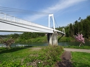 Web site image