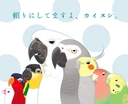 Web site image