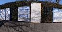 Web site image