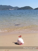 Web site image