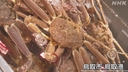 Web site image