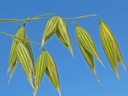 Web site image