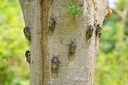 Web site image