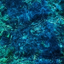 Web site image