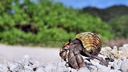Web site image