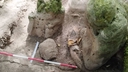 Web site image