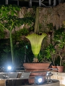 Web site image