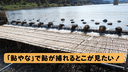 Web site image