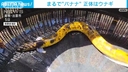 Web site image