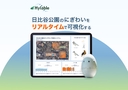 Web site image