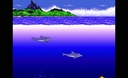 Web site image