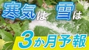 Web site image