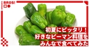 Web site image