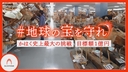 Web site image