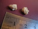 Web site image