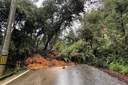 Web site image