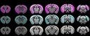 Web site image