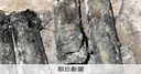 Web site image
