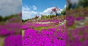Web site image