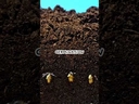 Web site image