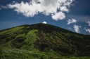 Web site image