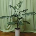 Web site image