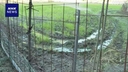 Web site image
