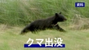 Web site image