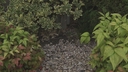Web site image