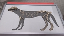 Web site image
